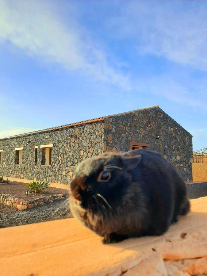 Agriturismo El Bounty Puerto del Rosario  Buitenkant foto