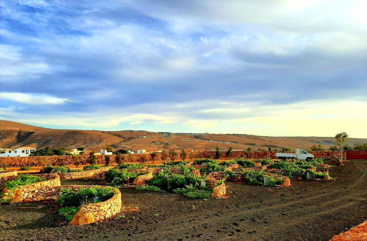 Agriturismo El Bounty Puerto del Rosario  Buitenkant foto